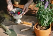 growth through digital tools