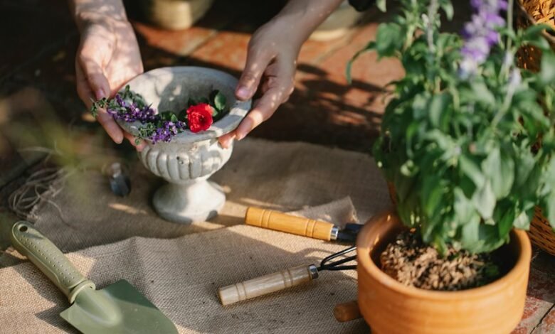 growth through digital tools